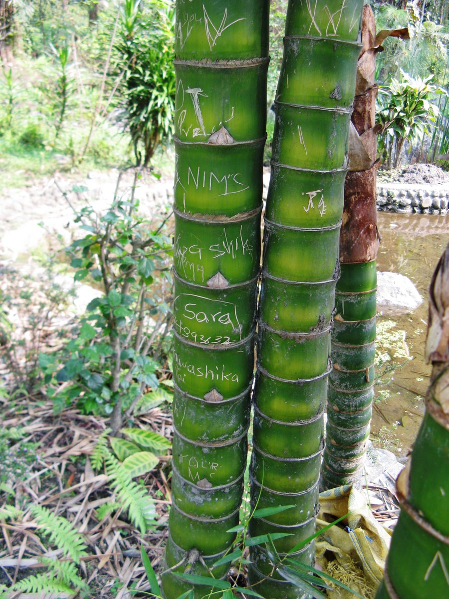 Paul Brain tweet media