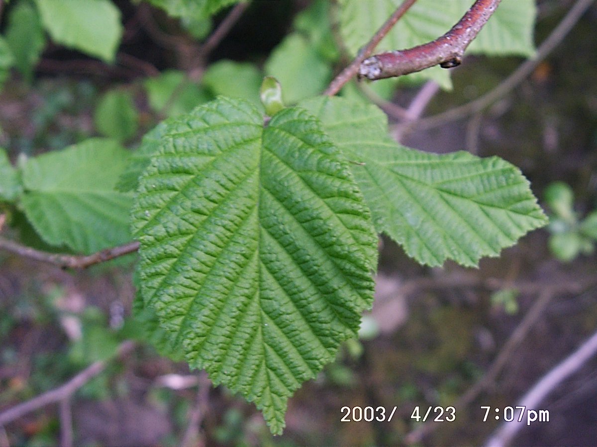 Paul Brain tweet media