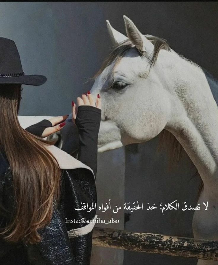 ee_47 tweet picture