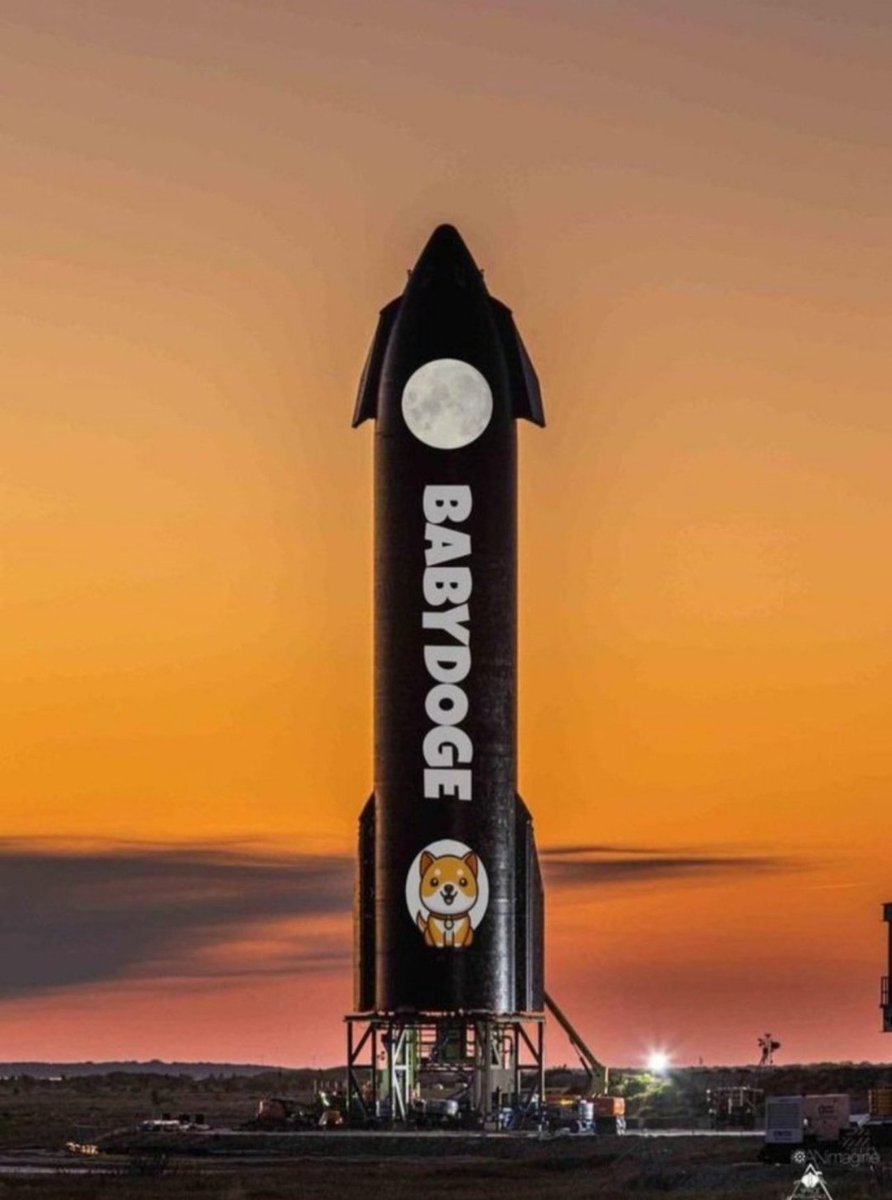 #BabyDoge holders, do you believe BabyDoge can hit $0.00005? 😍🐶💸