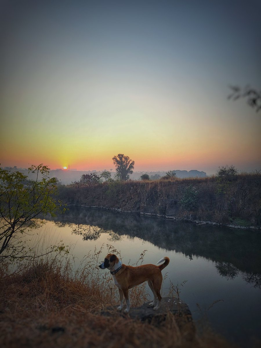 TheFindingNimo's tweet photo. Winter clear Sunrise 
#Dehugaon #Pune #Sunrise #ShotOnSnapdragon https://t.co/2pfyYwBMkE