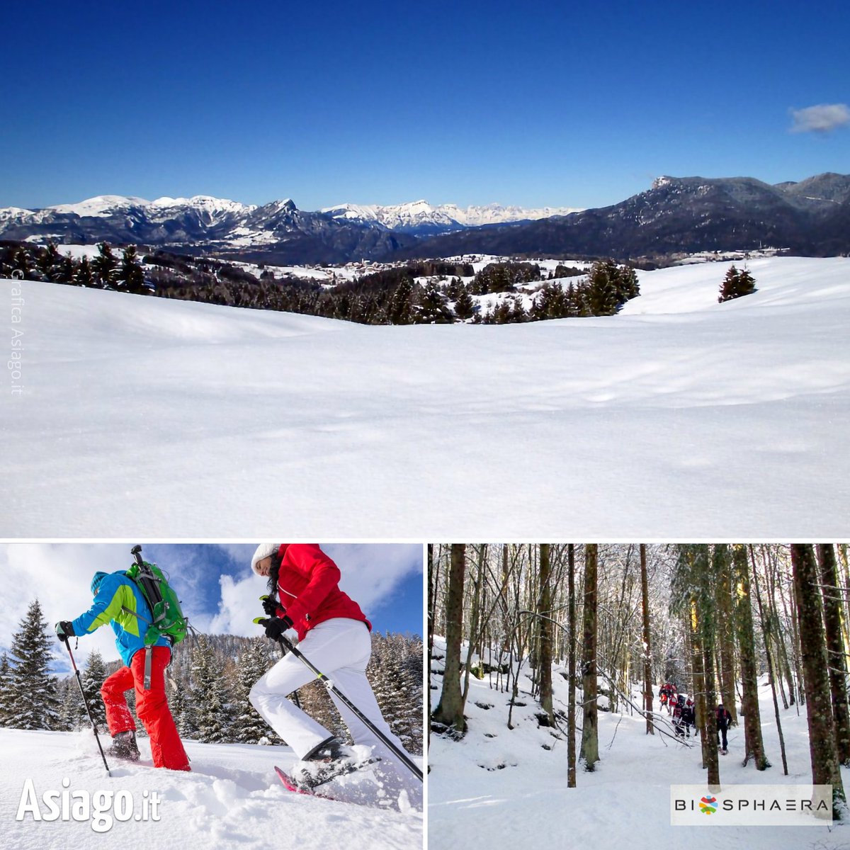 AsiagoIt's tweet photo. Buongiorno amici! Avete già lucidato le #ciaspole? 😉
Le Guide #Biosphaera hanno in serbo per voi alcune #ciaspolate speciali sull'Altopiano! 😊
Scopritele qui 👉 https://t.co/sLgre75uCX

#Asiagoit #altopianodiasiago #Asiago #montagna #ciaspolare https://t.co/I7kLNebbtA