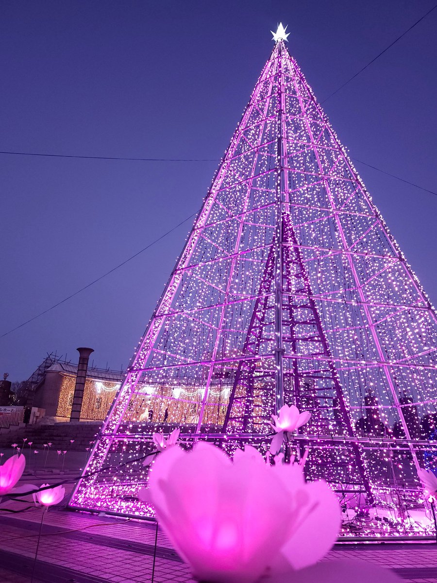 米軍実物 70’s M127A1 シグナルイルミネーション ホワイトスター 米軍 M127A1 シグナルイルミネーション ホワイトスター 使用済み撃ち殻