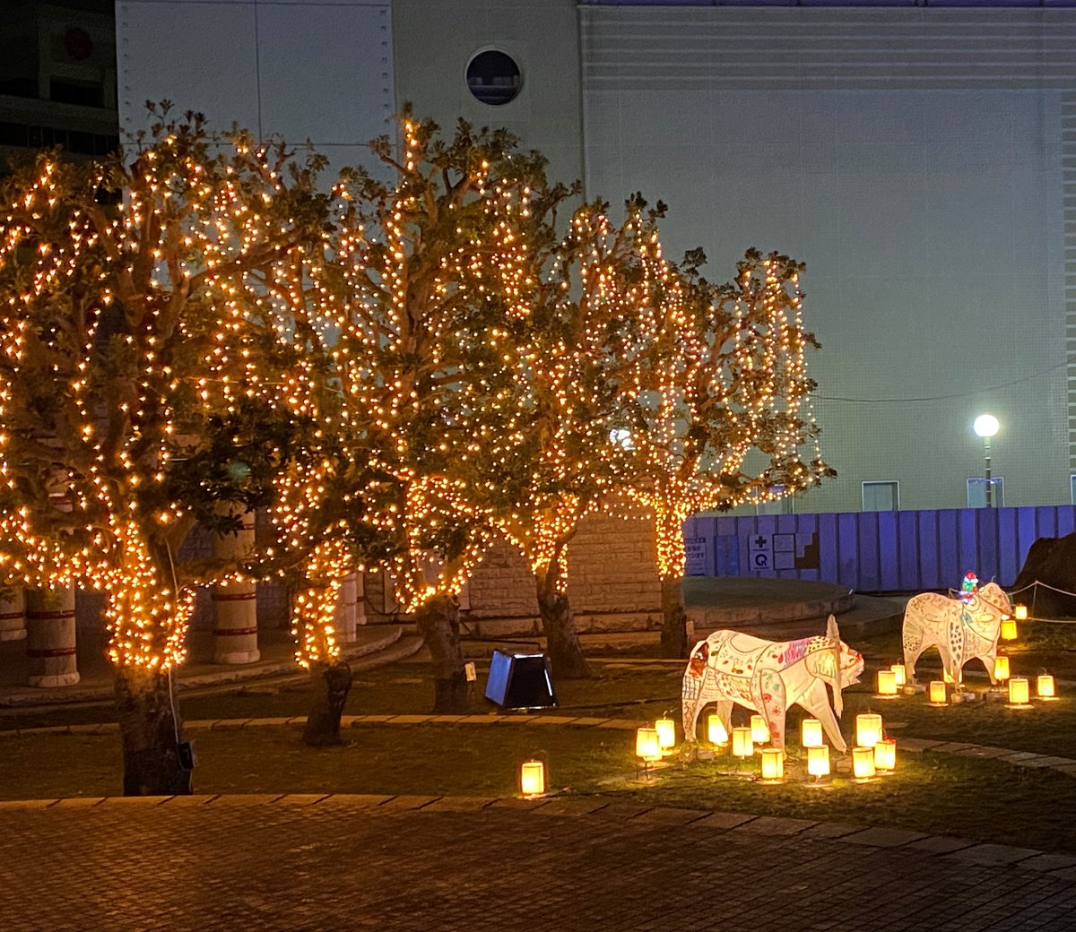 🔦『Hitachi Starlight Illumination 2024』🔦開催中 日立の #冬の