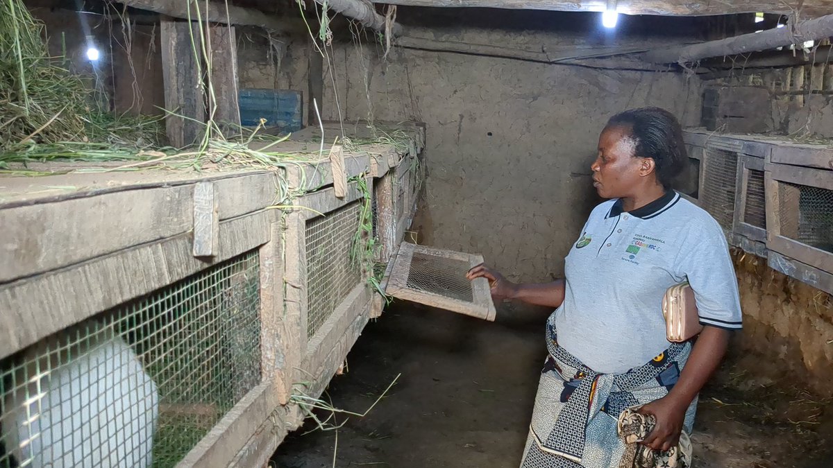 PreppygR's tweet photo. Du 9 au 12 décembre, 30 délégués des #CFCL Asimia, Batikambema et Bamasobha que nous accompagnons en foresterie communautaire à Bapere ont été formés sur l'aviculture, la cuniculture, la pisciculture et l'apiculture dans la ferme agro-pastorale d'Emmanuel Kipuru de Butembo. https://t.co/00KgdpCeNx