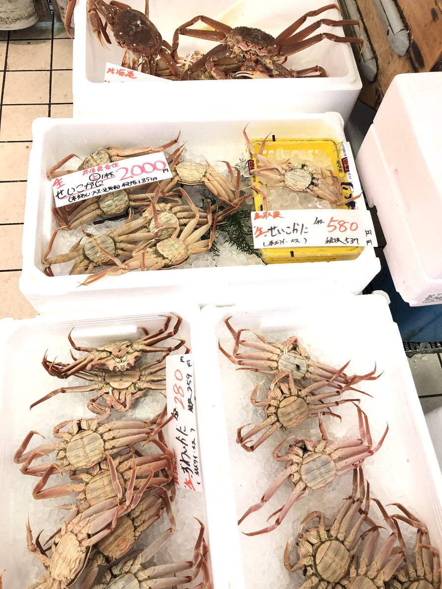yoshiike_group's tweet photo. 🦀カニ🦀カニ🦀🌟 https://t.co/P6qJV3U83w