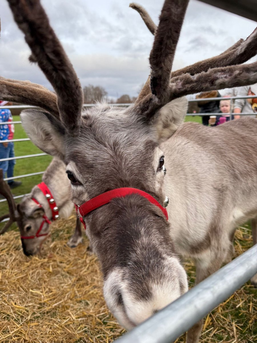 Mary Jenkinson tweet media