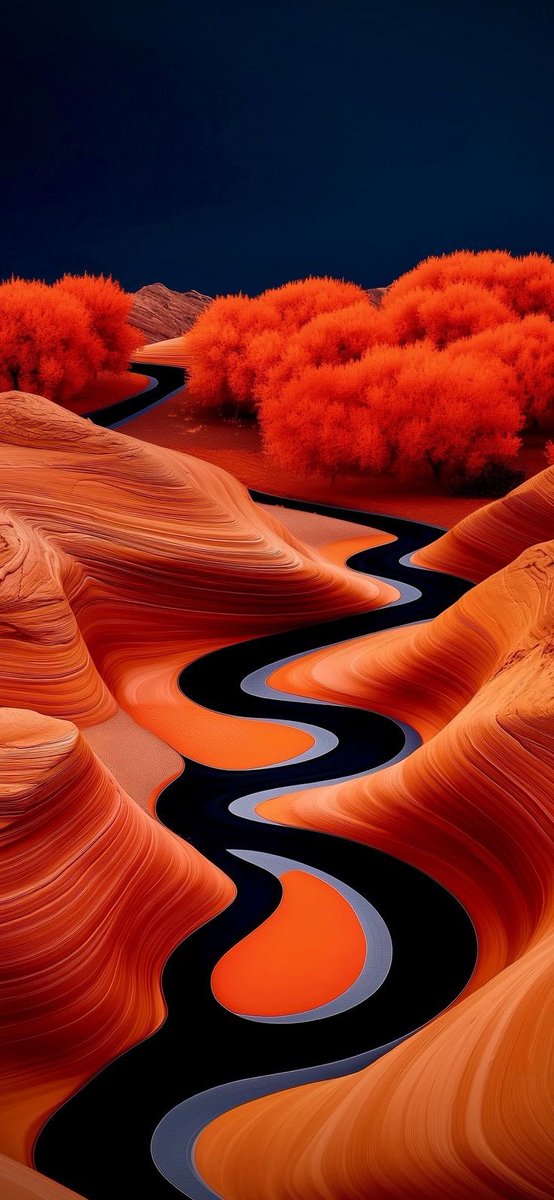 🦋Queen Primis🌹 tweet media