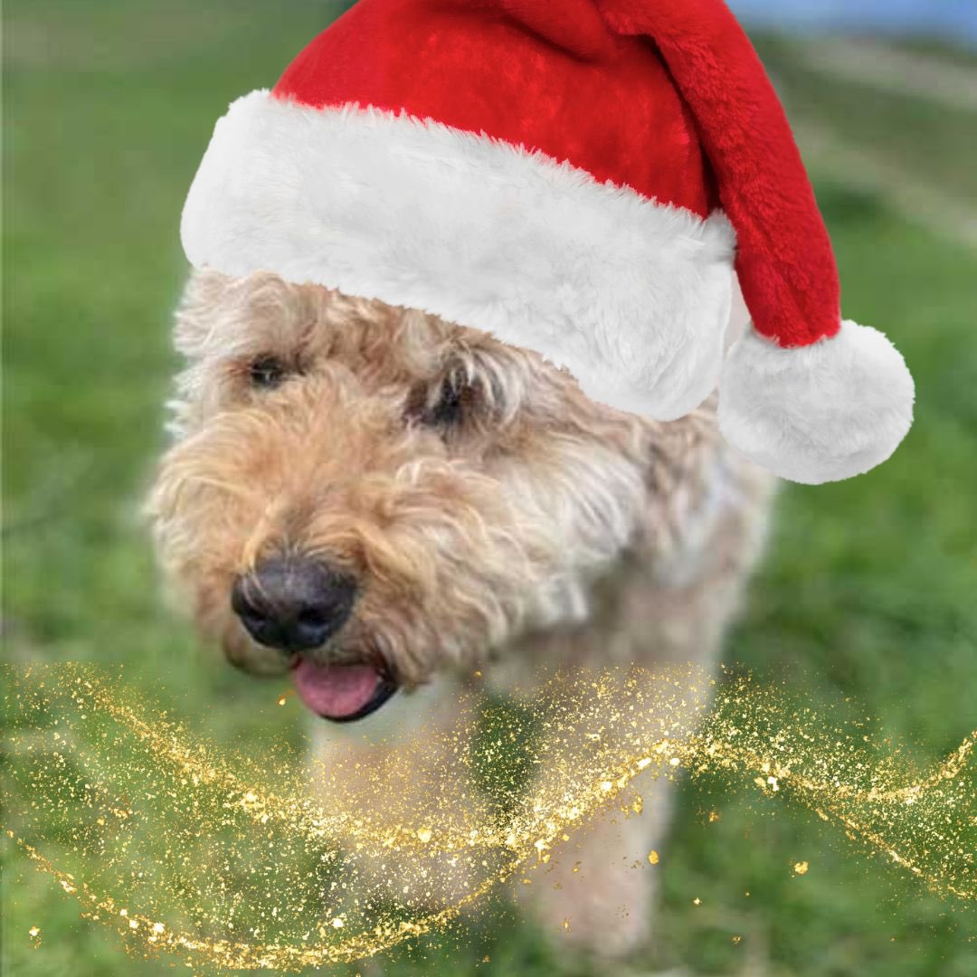 TouchBase tweet media