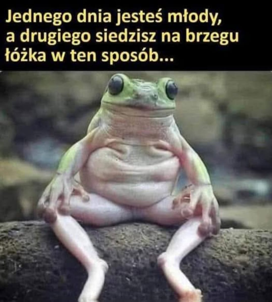 Lukasz Adamus (@l_ukaszz) on Twitter photo 