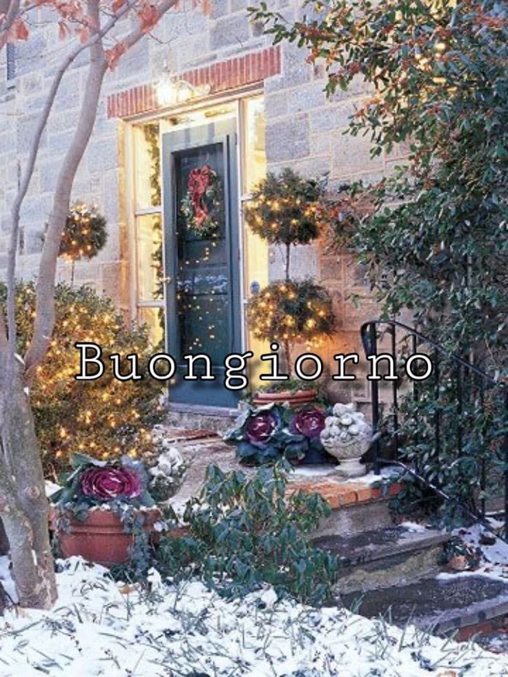 RITABIANCHi56 tweet media