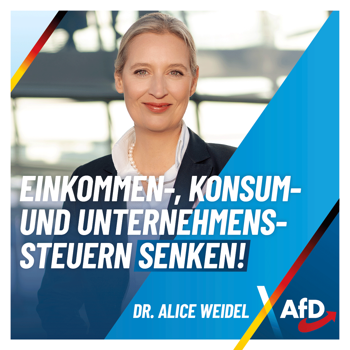 Unser Zukunftsplan für Deutschland: "Einkommen-, Konsum- und Unternehmenssteuern senken. Einkommensteuerfreibetrag auf 14.000 Euro erhöhen und die Unternehmenssteuern auf ein konkurrenzfähiges Niveau senken. Die CO2-Abgabe kassieren und Energiesteuern massiv senken." #TeamWeidel