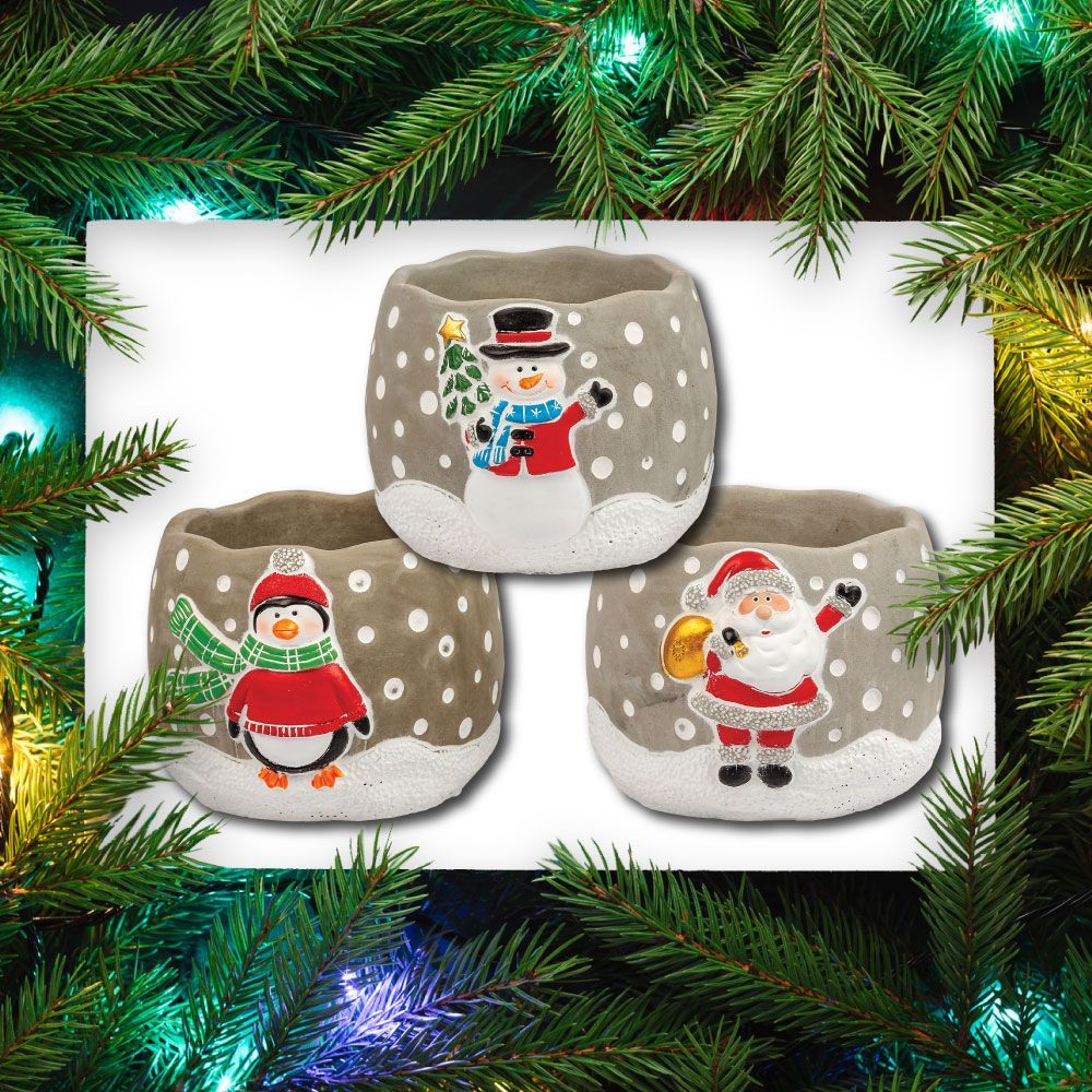 issundries's tweet photo. 🎄🎅 📆 Day 20 - You've still got time to get these festive Christmas pots for last min Pick Up &amp; Go. Shop here 🛒 https://t.co/33ws20GoV9 Christmas sale: 🛒 https://t.co/NXrHko9gri 
🚚 last orders 3pm TODAY
#ChristmasAdvent #FloristSupplies #FloralSundries #Wholesale #TradeOnly https://t.co/RPPfLxl67T