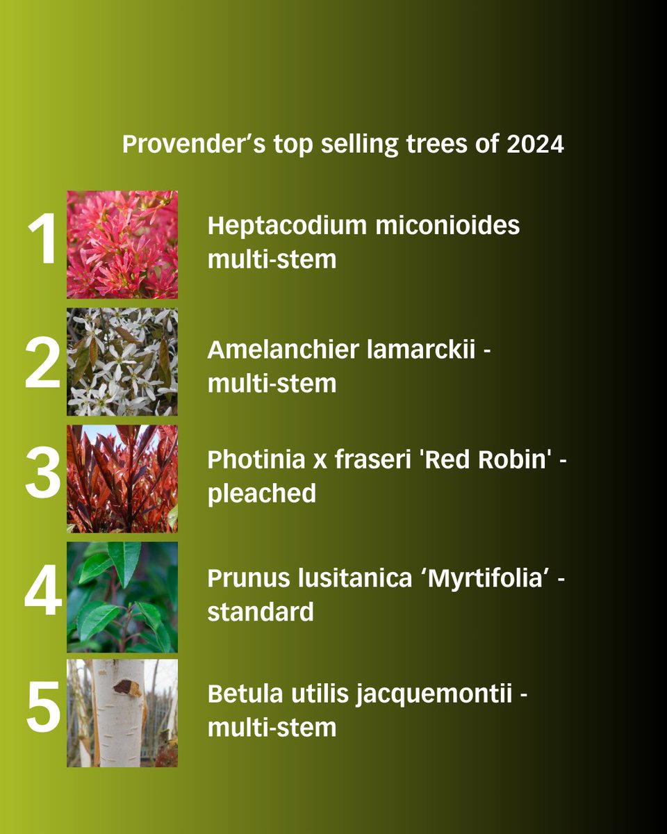 Provender's 2024 wrapped👀

Swipe to see some of our highlights from the year.

 We look forward to welcoming you all back on Friday 3rd January 2025.

#ProvenderNurseries #TradeNursery #WholesaleNursery #2024Wrapped #Horticulture