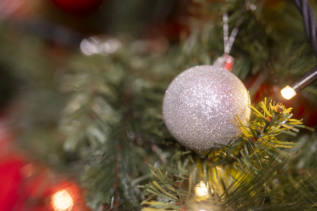 Joessa rauhoitutaan joulunviettoon loppiaiseen asti. Vierailukeskus Joki ja Joen kokouspalvelut ovat suljettuina 21.12.2024–7.1.2025.

Myyntipalvelu palvelee joulun ja loppiaisen välillä normaalein aukioloajoin arkisin klo 9.00–16.00.

Avaamme  jälleen tiistaina 7.1.2025 klo 8.