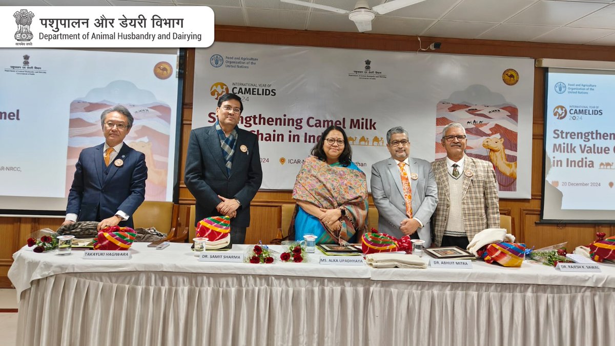 Dept_of_AHD's tweet photo. The “Strengthening Camel Milk Value Chain in India” event is taking place today, December 20, at the ICAR-National Research Center on Camel, Bikaner. The gathering includes key figures such as Smt. Alka Upadhyaya, Secretary, DAHD, GoI, Dr. Abhijit Mitra, Animal Husbandry Commissioner, DAHD, GoI, and Takayuki Hagiwara, FAO Representative in India. The event focuses on exploring sustainable solutions, enhancing the camel milk value chain, and addressing the concerns of camel-rearing communities in India.

#InternationalYearOfCamelids2024 #CamelMilk #Sustainability
