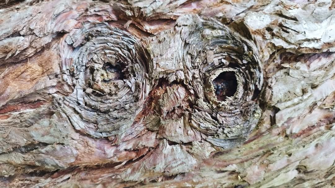 Donosti City 📡📷🎥🎙️📖 tweet media