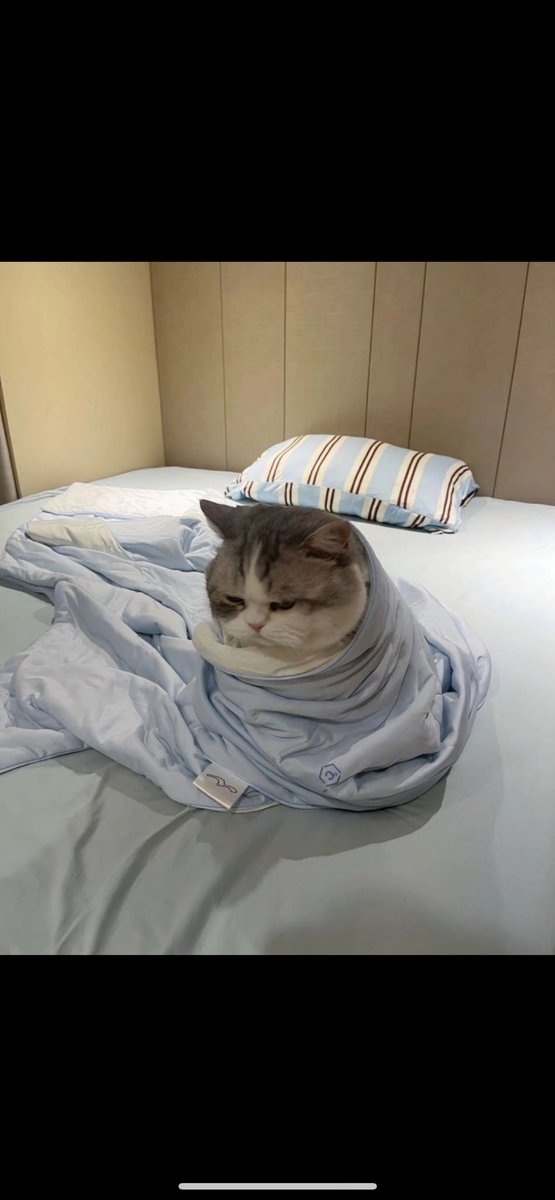 Just me watching my Phantom wallet at the moment…