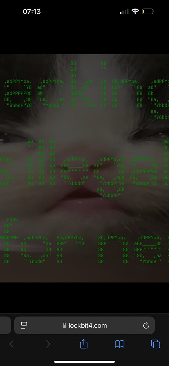 chieft3ch's tweet photo. @vxunderground -10 points for responsiveness, terrible web skills https://t.co/np474piW0i