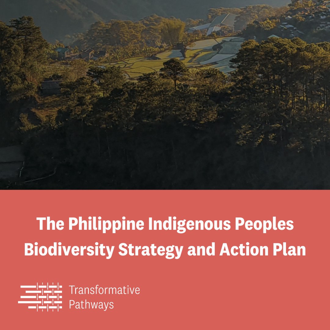 #Philippines

For the 1st time, #Indigenous communities have designed their own #Biodiversity Strategy and Action Plan 🌱

This aims to ensure Indigenous rights are respected in national and global biodiversity #conservation 🌏

👉 transformativepathways.net/philippine-ind…

#TransformativePathways