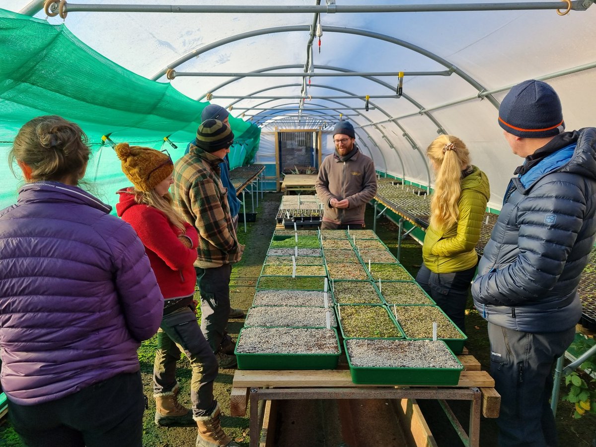 Restoring Hardknott Forest tweet media