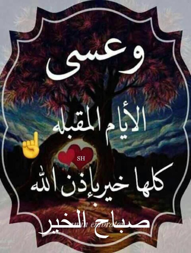 Albdoe z (@abdoe_z) on Twitter photo 