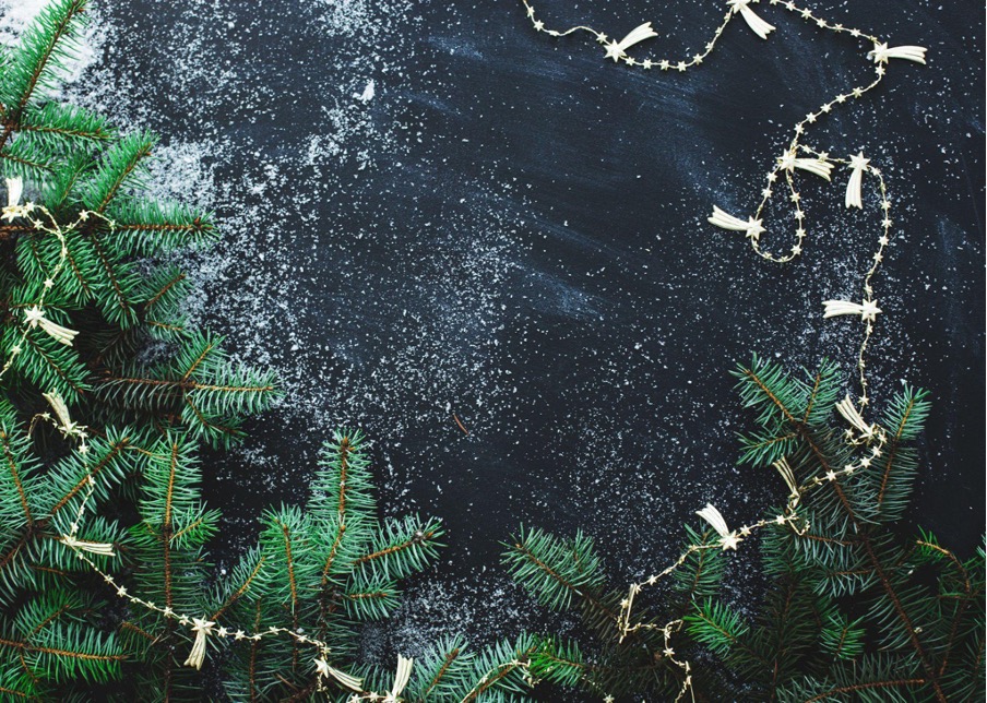 Thanks to everyone who has supported and contributed to FRIAS this year. The entire FRIAS team wishes you and your loved ones a relaxing holiday season and all the best for a healthy and happy 2025. This channel will be on winter break until January 7. 
📸: starline / Freepik