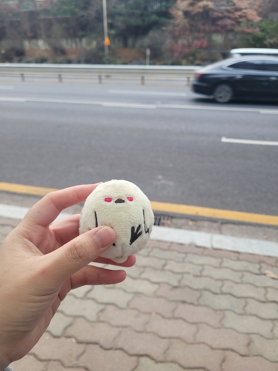 garchi_03's tweet photo. 이번 여행에 함께할 인형친구
엘리아나뱁새 https://t.co/FswwGdxDDm