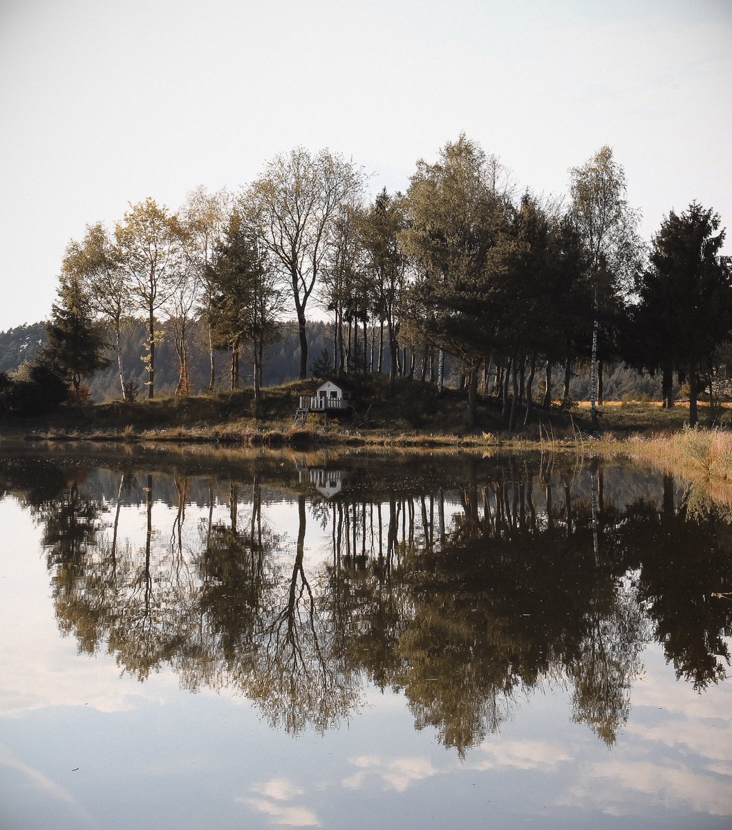 wittlichland's tweet photo. ©️Foto: Jessica Jobst
Grüße aus #Landscheid! 🌳
Die #Adventszeit lädt zum Innehalten ein – Zeit für einen entspannten Start ins #Wochenende. Genießt die festliche #Stimmung und lasst Euch von der #Weihnachtszeit verzaubern! ✨
#meinwittlichland #meinwittlichlandmeinshotout https://t.co/hxQ9Pu5ZOW