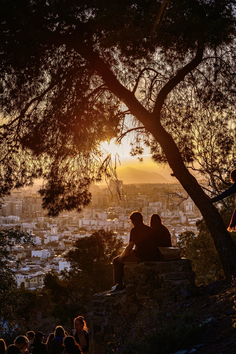 Christian Machowski tweet media