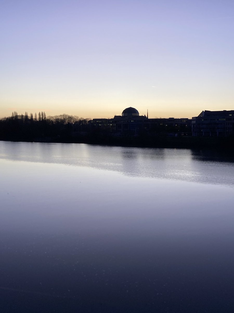 Elsa Richard 🌊🌻🌈 tweet media