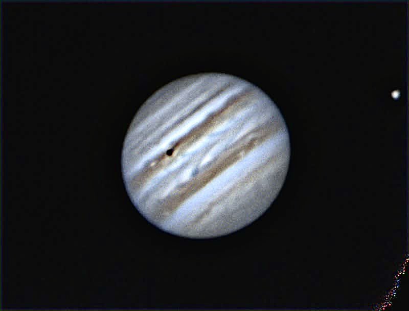 Mike Shaw tweet media