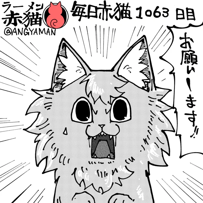 チャラいだけじゃないヤツ
#ラーメン赤猫 #ジャンププラス
128杯目 https://t.co/nxbikYpmFC 