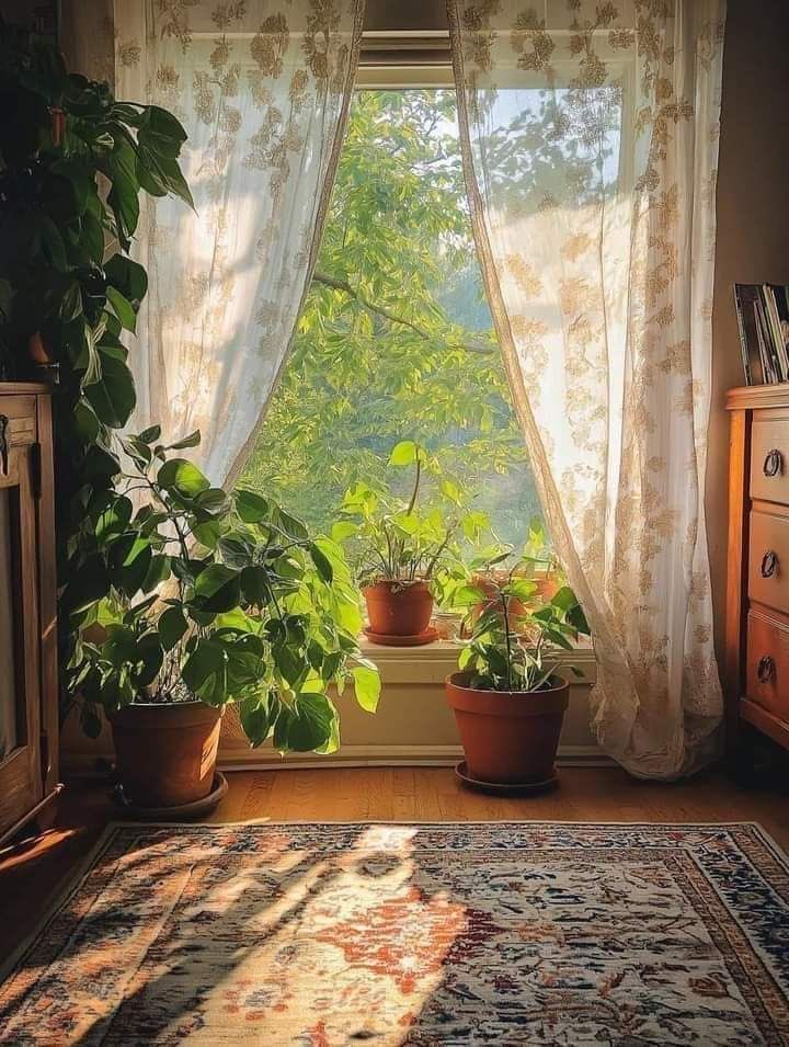 𝐹𝑟𝑖𝑑𝑎𝑦 𝑚𝑜𝑟𝑛𝑖𝑛𝑔 ☀️🌿