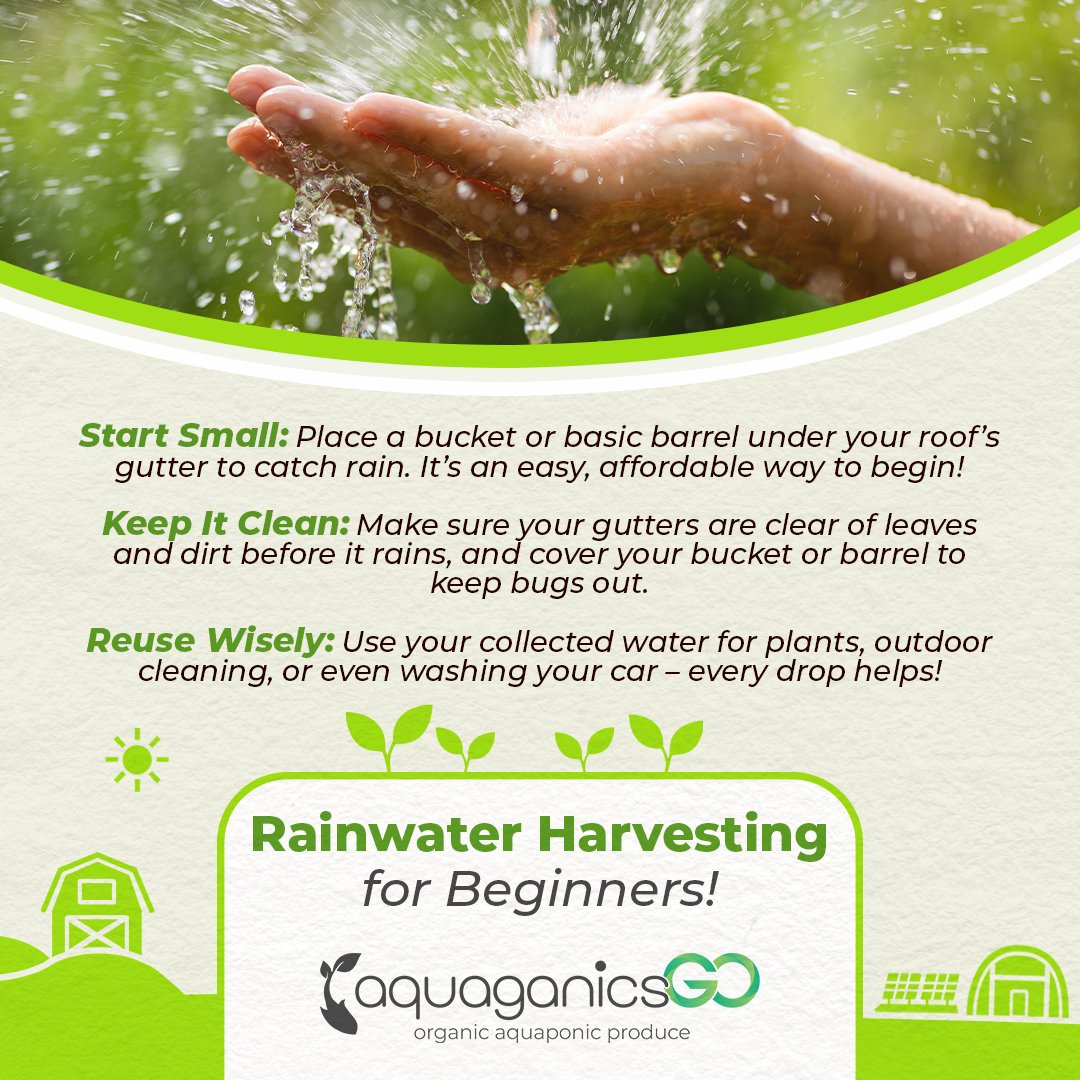 AquaganicsGo's tweet photo. Collecting rainwater can help you save money, reduce your water usage, and support a sustainable lifestyle?

It can be collected and used for watering plants, cleaning, or even washing your car. It's eco-friendly, and perfect for South African homes.

🔗 https://t.co/BZGS8bJqO0 https://t.co/1p5aoODSSc
