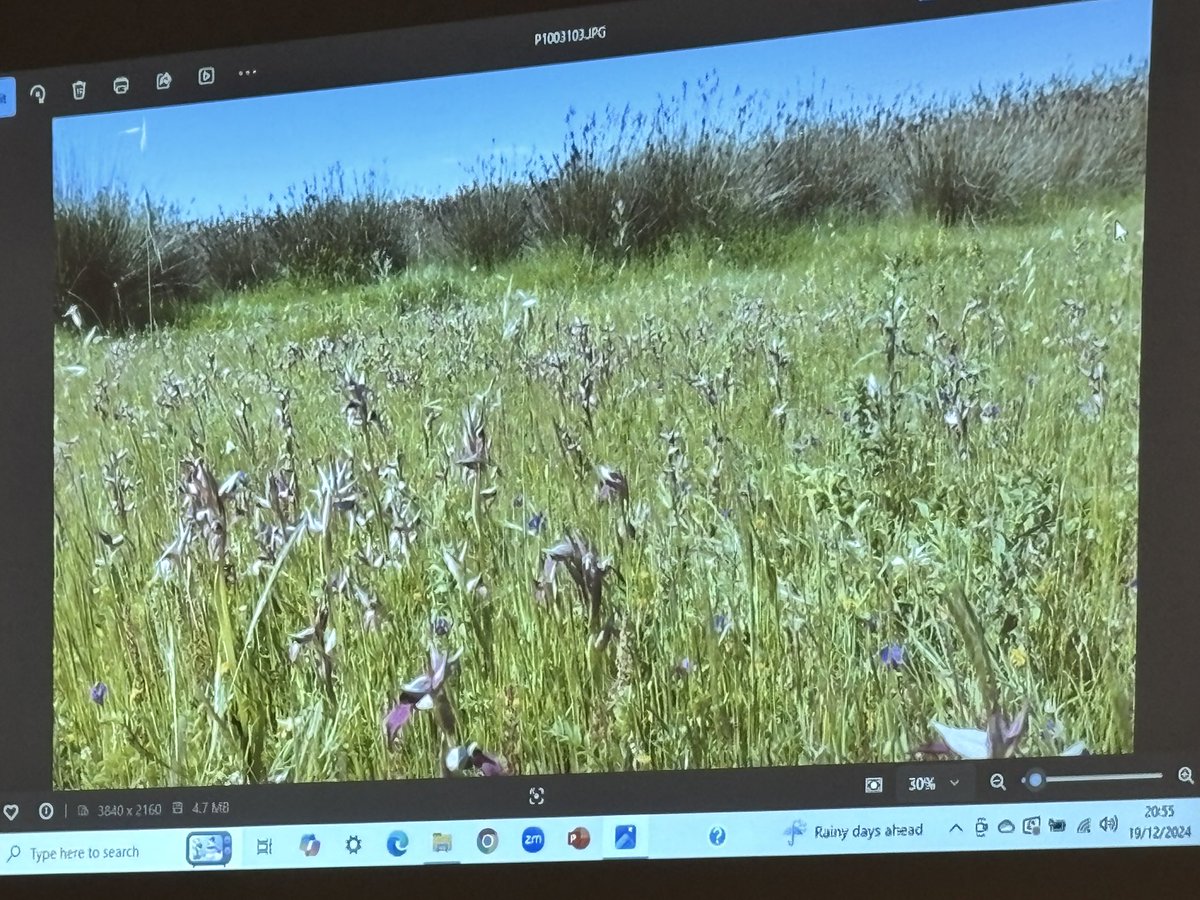 Huntingdonshire Fauna & Flora Society tweet media