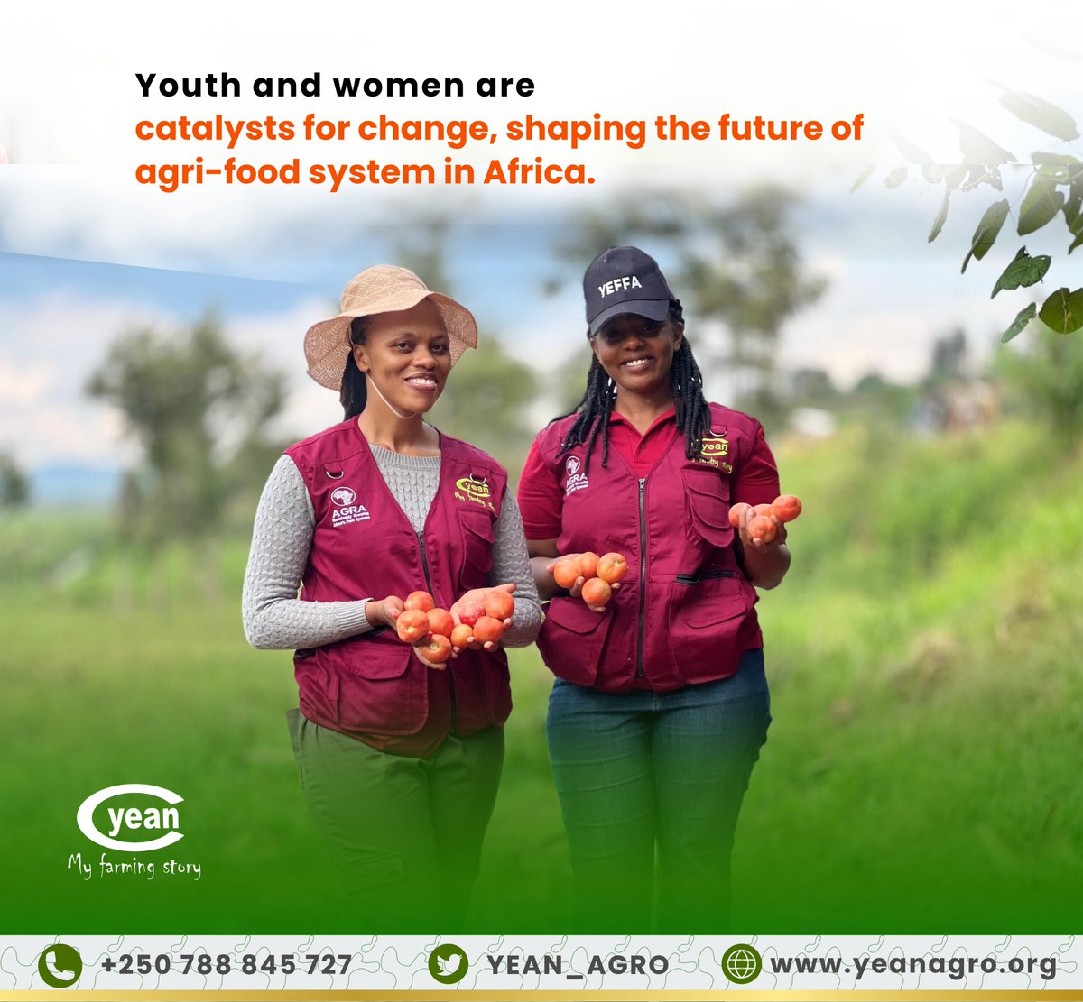 ericmihigoo's tweet photo. Under the #YEFFA Project, @YEAN_Agro is leading the transformation of agri-food systems in Africa, empowering youth and women as key agents of change. 
#YEAN #YEFFA #AgriFoodTransformation https://t.co/rwUbBz0sKP