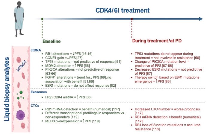 LGerratana's tweet image. CDK4/6 inhibitors: mechanisms of resistance and where to find them.
An outside of the box review

Main takeaways:
🛑RB1 loss in #ctDNA predicts poorer PFS
⚠️CCNE1 gain impacts PALOMA-3 outcomes
🧩Role of ESR1 still unclear

Read more👇
sciencedirect.com/science/articl…

#bcsm #BreastCancer