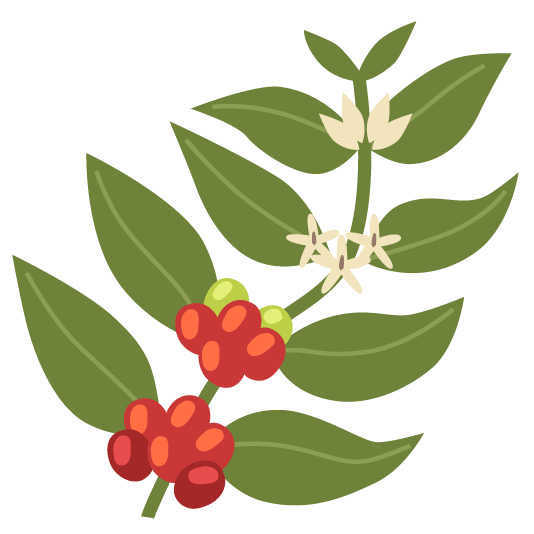 bmaliciosa's tweet photo. @MamenPg_ @radiocable @pilarpai @radiolacafetera @Emilio_Silva_ @ARMH_Memoria @delRioPilar Buenos días y felices fiestas Mamen ☕ https://t.co/0Kz53ixYLt