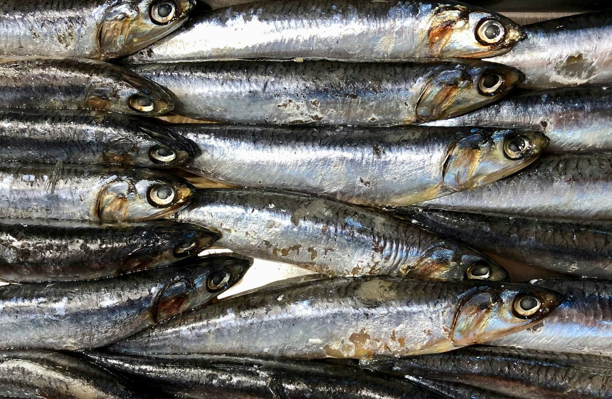 Omega-3 supplements for the prevention of psychosis: another trial shows no benefit, so is it time to move on? buff.ly/4fwRB0B

<a href="/DavidMongan3/">David Mongan</a> reports on a recent RCT and reflects on what’s next for the field.

#Psychosis #Schizophrenia #Omega3 #Prevention