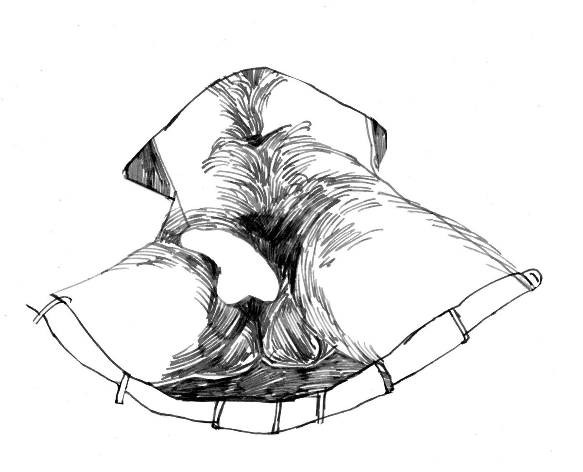 testing out what websites i want to use by how well i can share this drawing (from my book in progress…. . . . Flea - coming 2025 from <a href="/FieldmousePress/">Fieldmouse Press</a> !!!!)