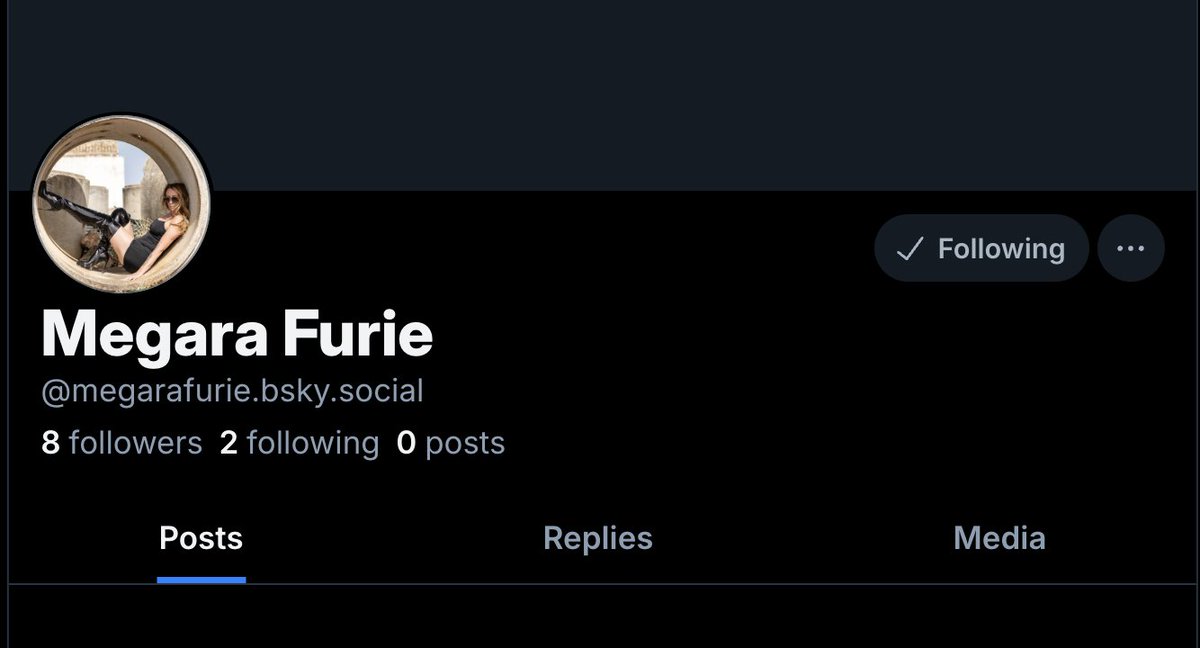 Bidge3's tweet photo. @MegaraFurie just wanted to confirm that this is you over on Bluesky and not an impersonator. https://t.co/xt1Ohgx7HJ