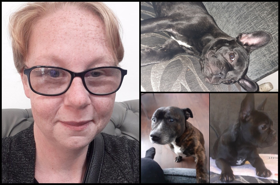 Animal Adoptions UK 🐕‍🦺🐈🐎❤️ tweet media