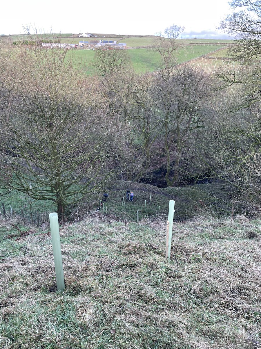 Neil Hardiman tweet media