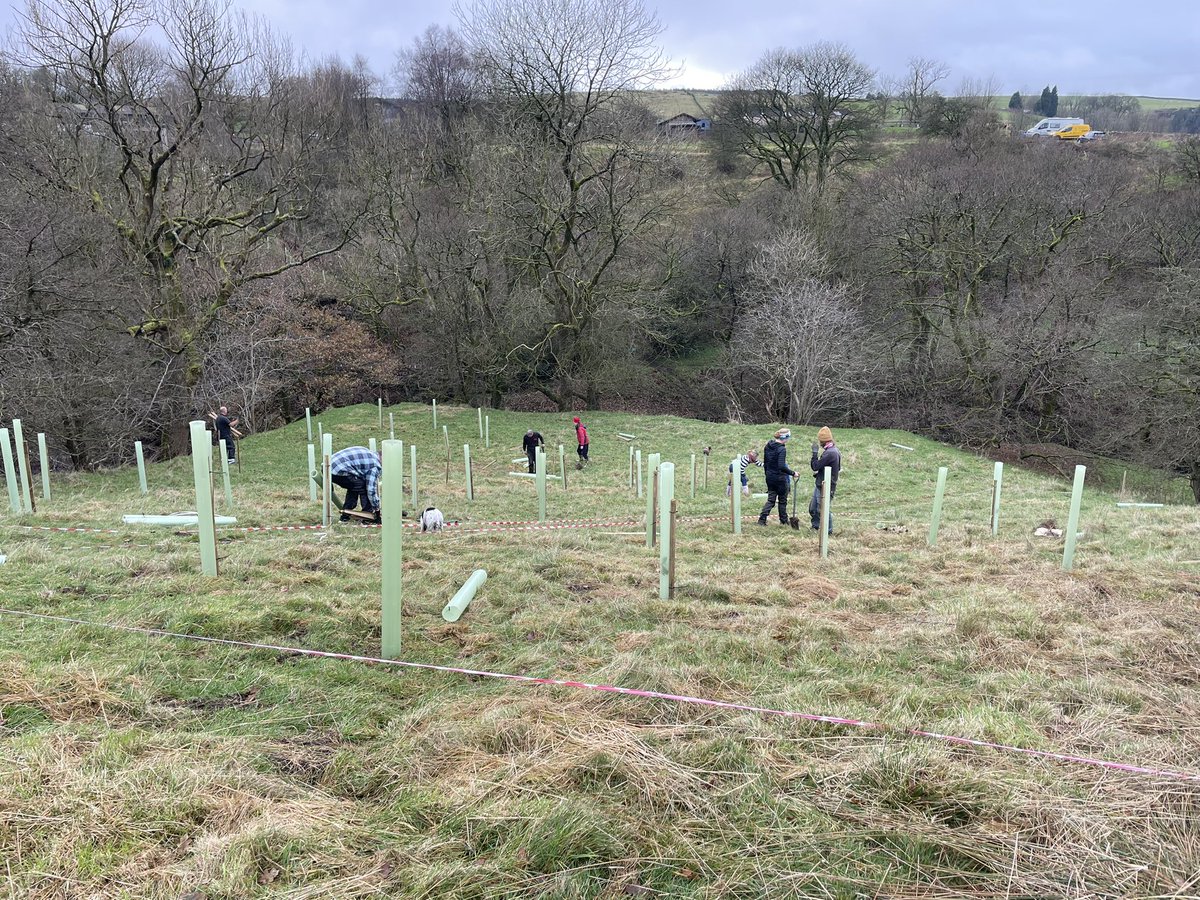 Neil Hardiman tweet media