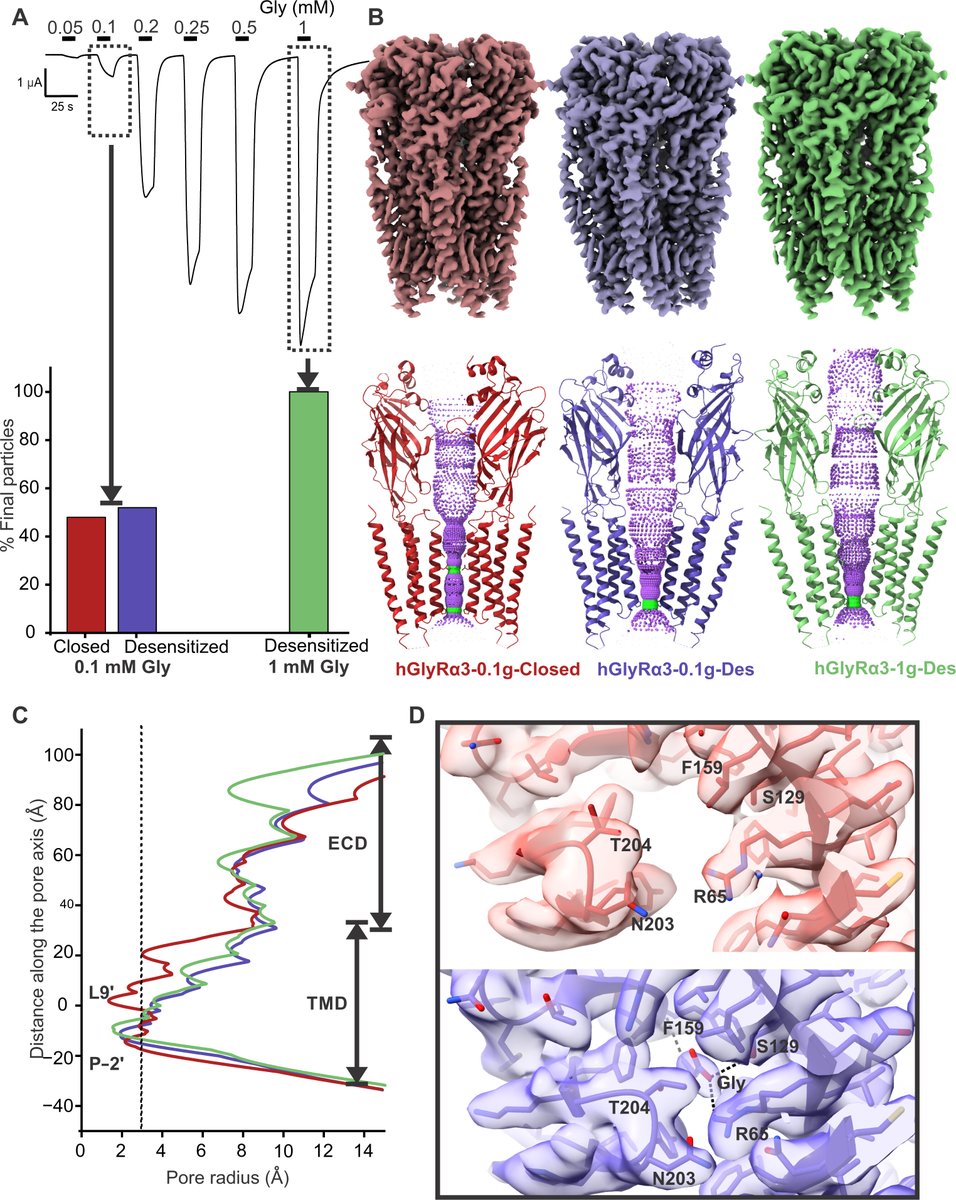 Membrane Protein PDB tweet media