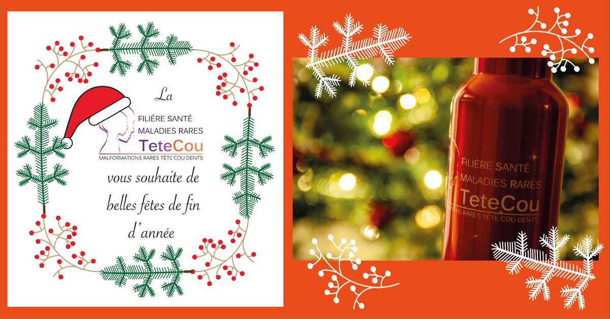 🥂 Nous vous souhaitons de belles fêtes de fin d'année. 🎄
Et vous donnons rendez-vous en 2025 pour la poursuite de nos actions et de nouveaux projets. 🎊

#maladiesrares