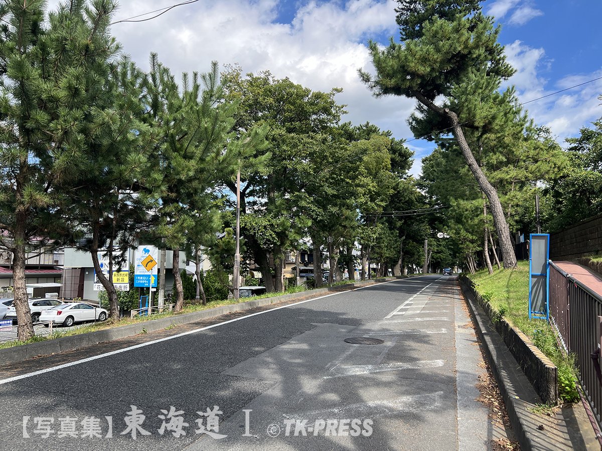 prophotojp's tweet photo. Phoneで撮る旧東海道57次 大磯宿
吉田茂邸と旧街道の松並木
明治以来要人の別荘地としても有名で、大隈重信、伊藤博文、吉田茂も晩年ここで没しているという
 【写真集】東海道   https://t.co/HFgLYqCD29…………………………     #東海道五十七次 #旧東海道 #大磯 #吉田茂 #写真集 #iPhone #TKPRESS https://t.co/mIr24aKSJG