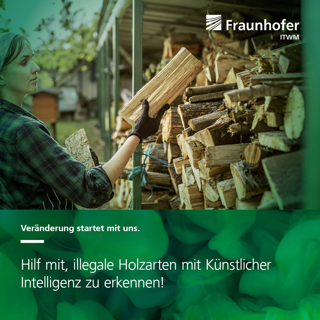 Fraunhofer ITWM (@fraunhoferitwm) on Twitter photo Möchtest Du als Doktorand:in in unseren Projekten »KI Wood« und »Wood Fiber ID« bei der Bekämpfung gegen illegale Holzernte aktiv werden? Bewirb dich jetzt👉 s.fhg.de/promotion-ki-w… 
#Jobday #VeränderungStartetMitUns Möchtest Du als Doktorand:in in unseren Projekten »KI Wood« und »Wood Fiber ID« bei der Bekämpfung gegen illegale Holzernte aktiv werden? Bewirb dich jetzt👉 s.fhg.de/promotion-ki-w… 
#Jobday #VeränderungStartetMitUns
