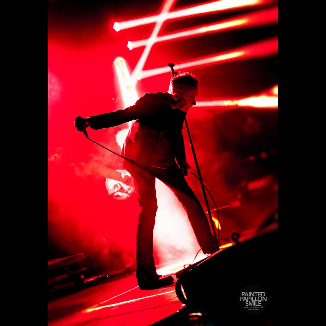 painted.papillon.smile tweet media